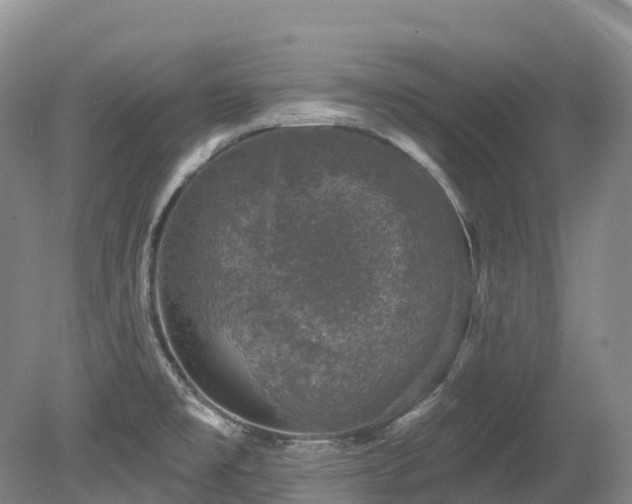 X0000080151477200612081309