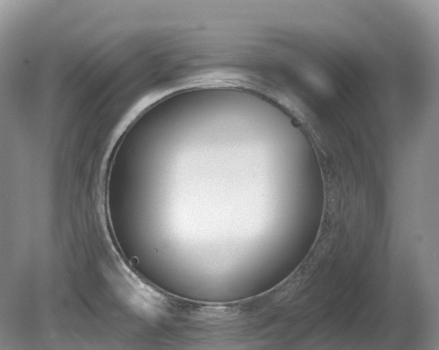 X0000080151478200612081309