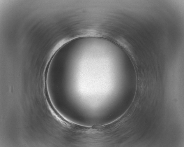 X0000080151479200612081309