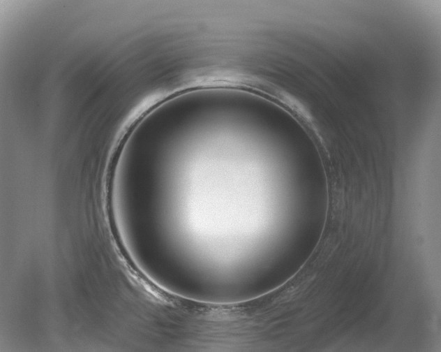 X0000080151480200612081309