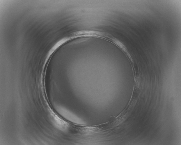 X0000080151482200612081309