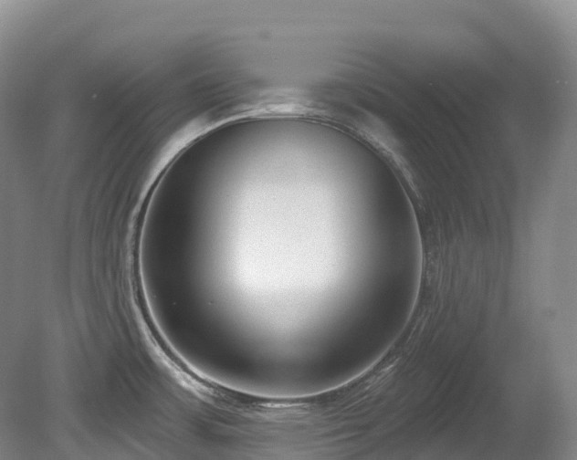 X0000080151483200612081309