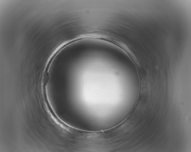 X0000080151484200612081309
