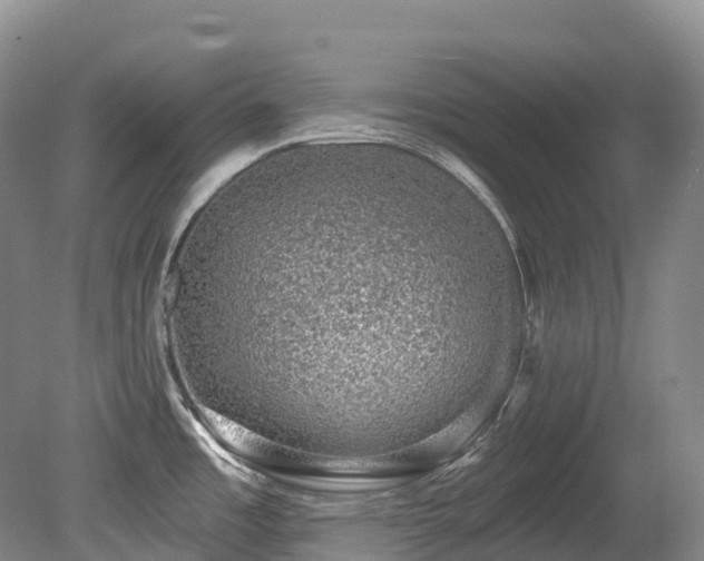 X0000080151485200612081309