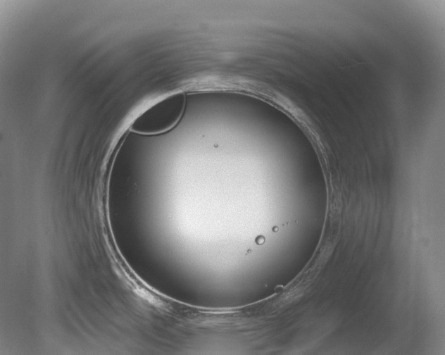 X0000080151486200612081309