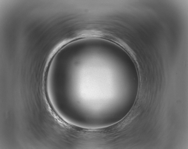 X0000080151488200612081309