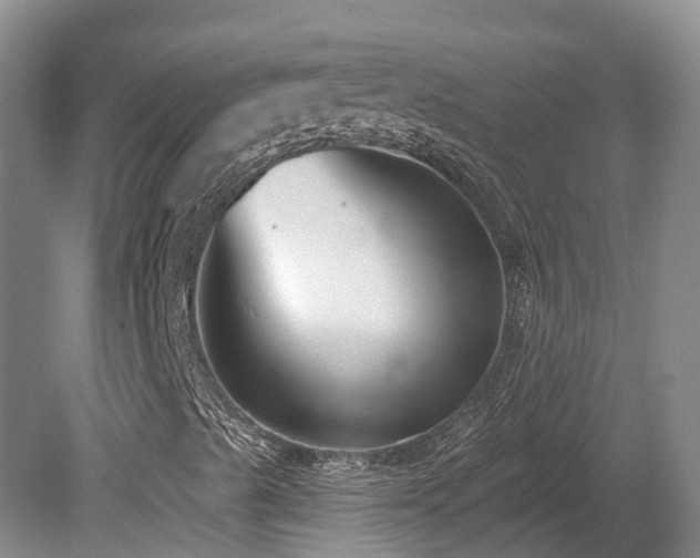 X0000080151489200612081308