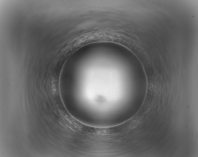 X0000080151490200612081308