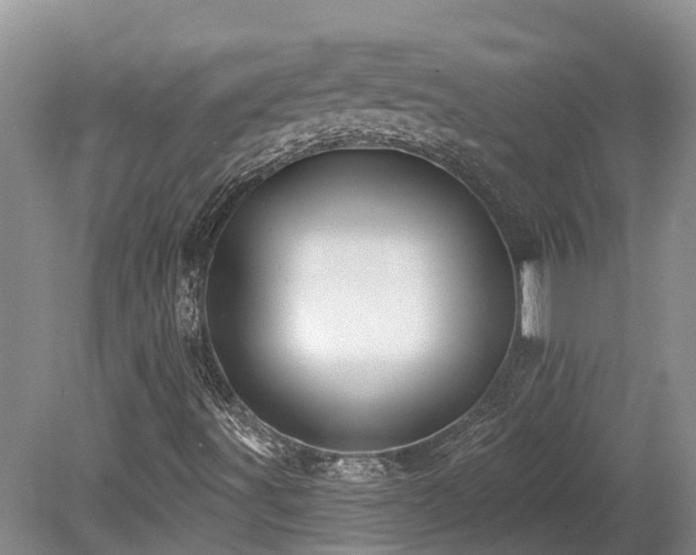 X0000080151491200612081308