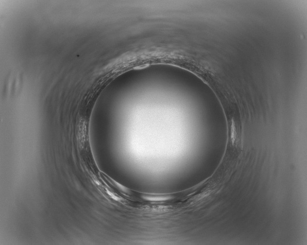 X0000080151492200612081308