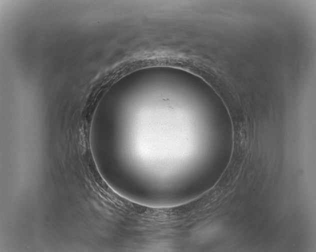 X0000080151493200612081308