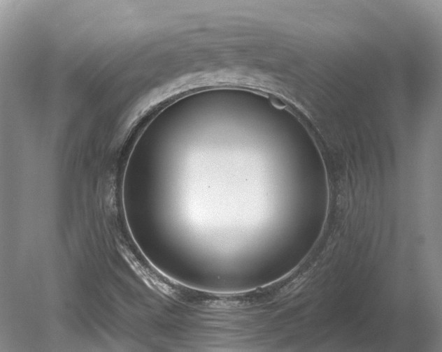 X0000080151499200612081308