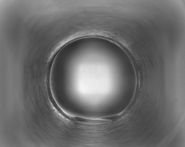 X0000080151500200612081308