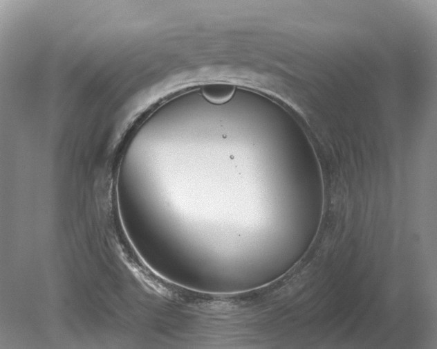X0000080151507200612081308