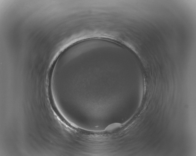 X0000080151508200612081308