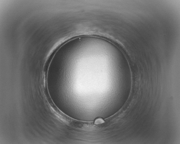 X0000080151509200612081308