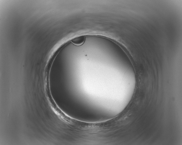 X0000080151511200612081308