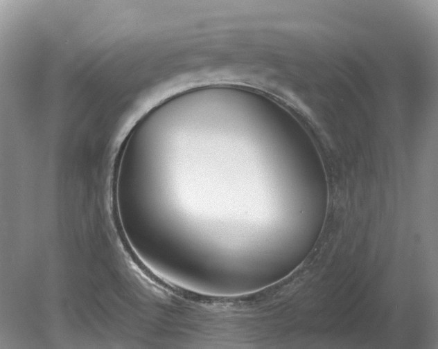 X0000080151512200612081308