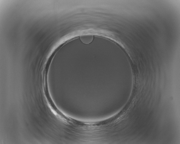 X0000080151515200612081308