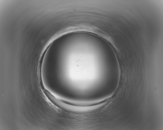 X0000080151516200612081308