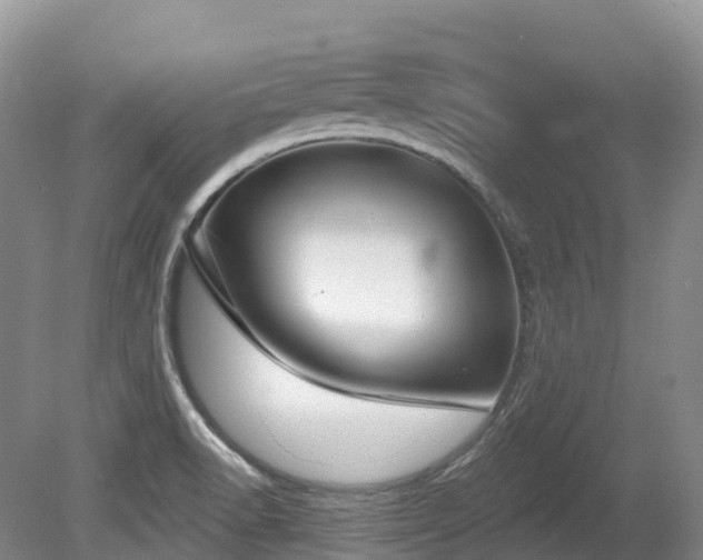 X0000080151518200612081308