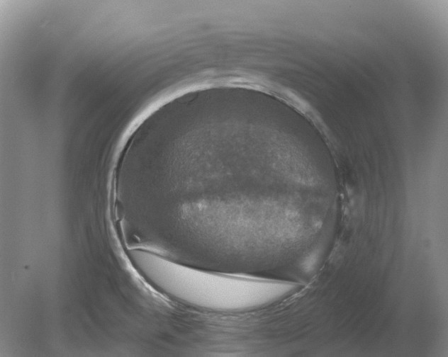X0000080151520200612081308