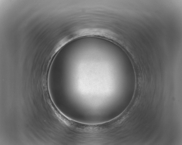 X0000080151521200612081308