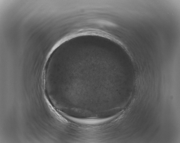 X0000080151522200612081308
