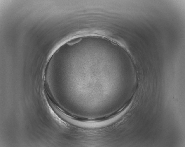 X0000080151524200612081308