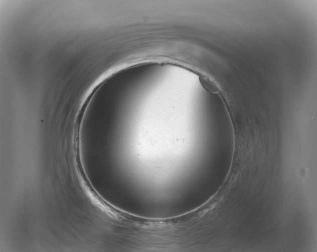 X0000080151526200612081308