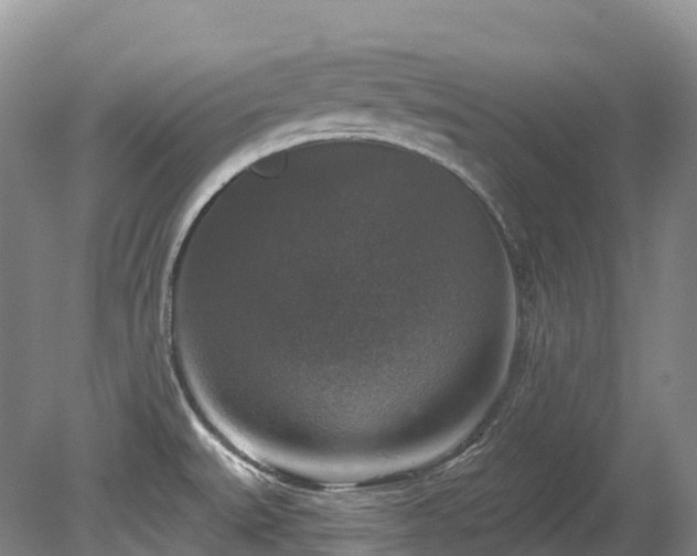 X0000080151527200612081308