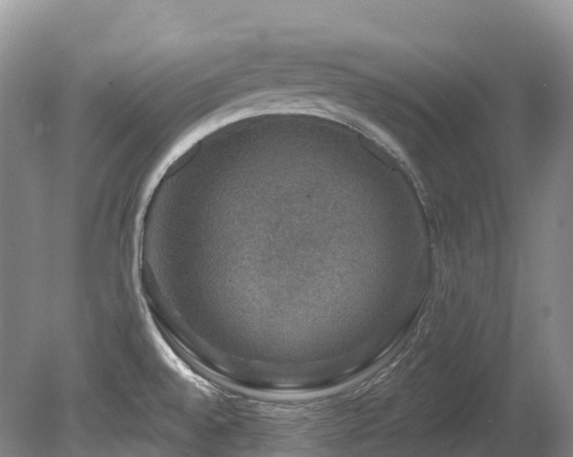 X0000080151528200612081308