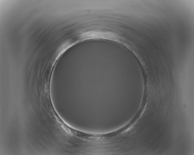 X0000080151529200612081308