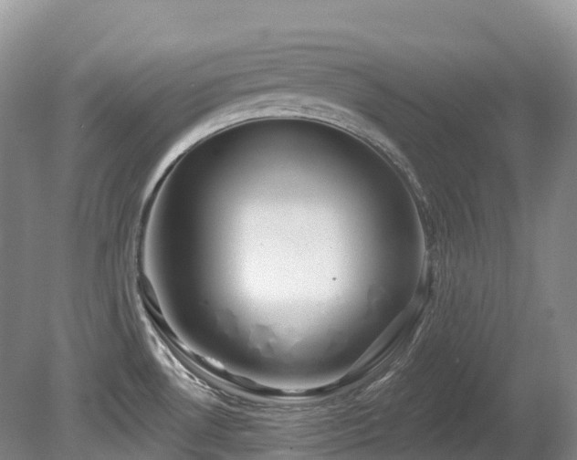 X0000080151530200612081308