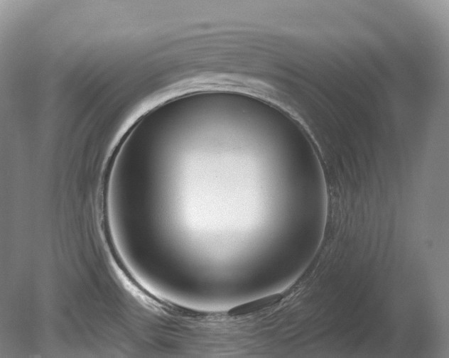 X0000080151531200612081308