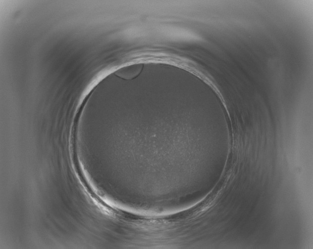 X0000080151533200612081309