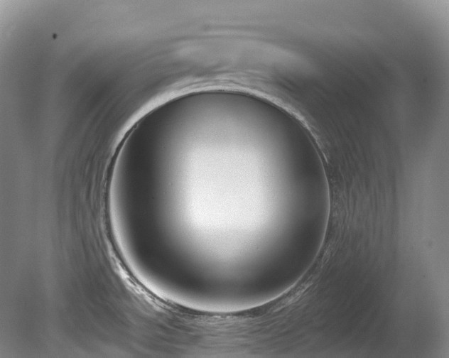 X0000080151534200612081309