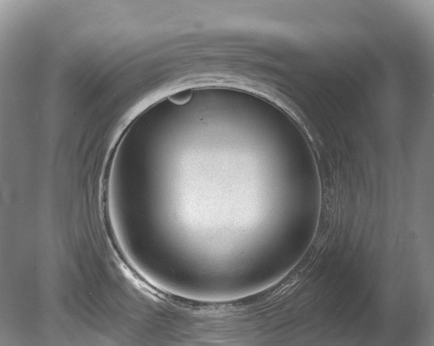 X0000080151535200612081309