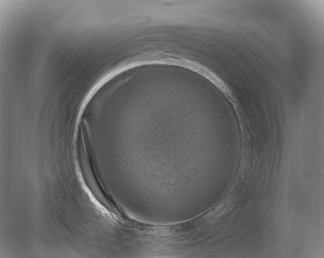 X0000080151536200612081309