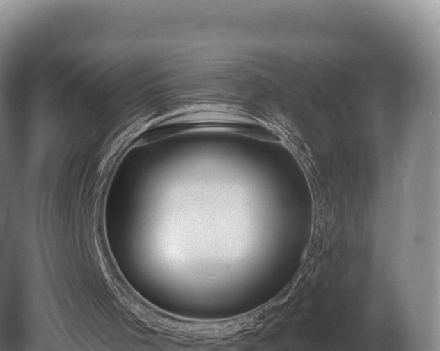 X0000080150001200612151842