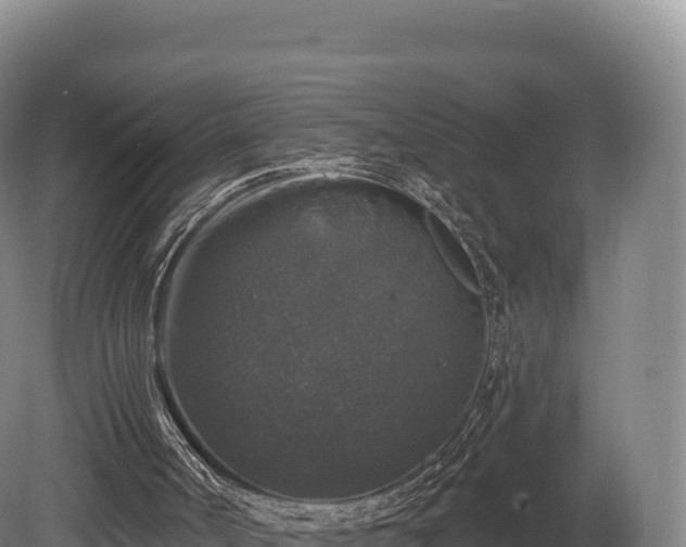 X0000080150002200612151842