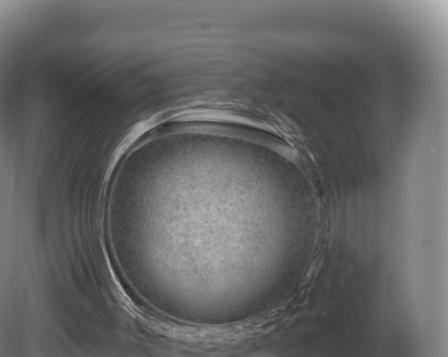 X0000080150003200612151842