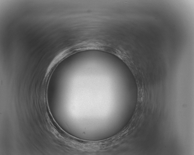 X0000080150004200612151842