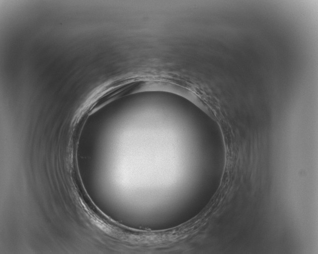 X0000080150005200612151842