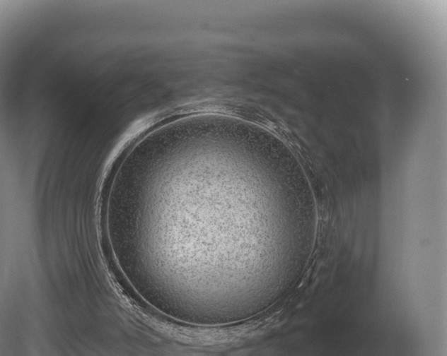 X0000080150006200612151842