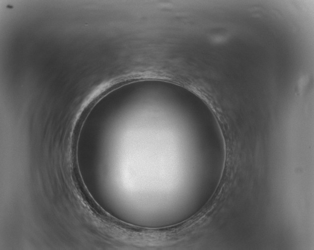 X0000080150008200612151842