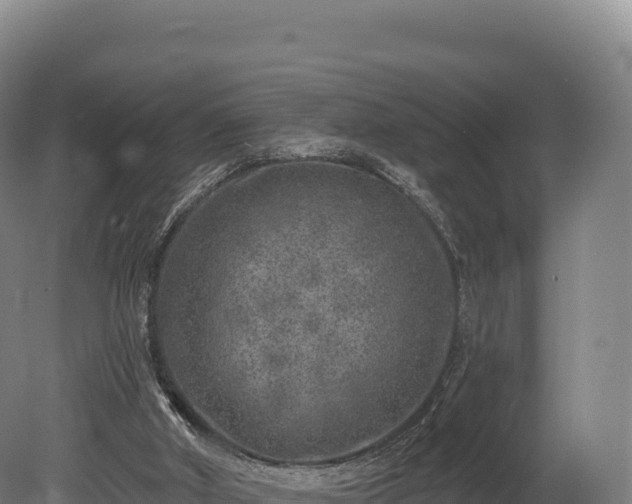 X0000080150010200612151842