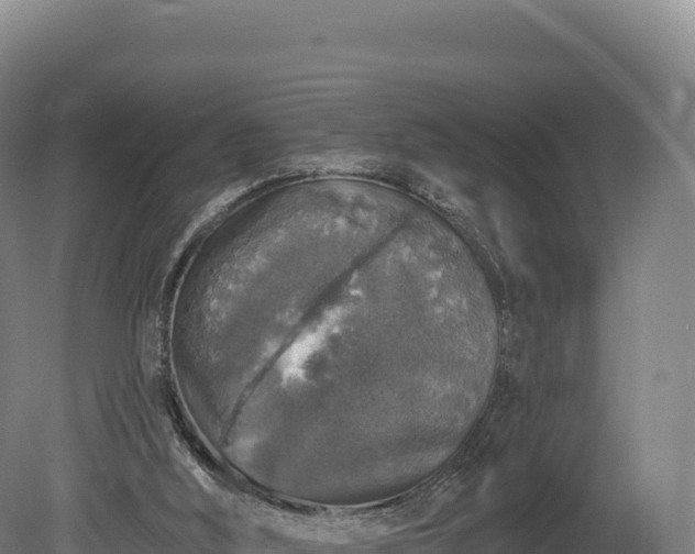 X0000080150012200612151842