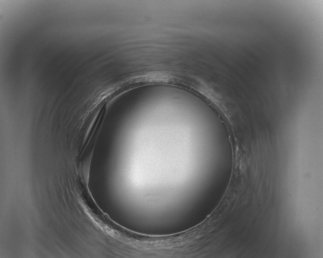 X0000080150013200612151842