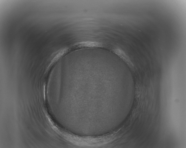 X0000080150014200612151842